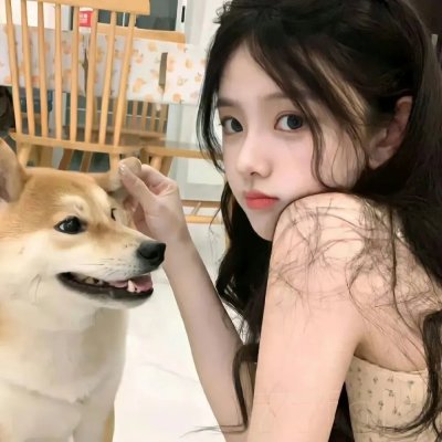 发胶明星梦